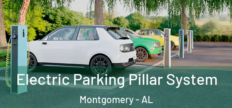 Electric Parking Pillar System Montgomery - AL