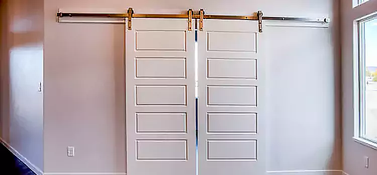Glass Barn Door with Installation Hardware Kit Montgomery